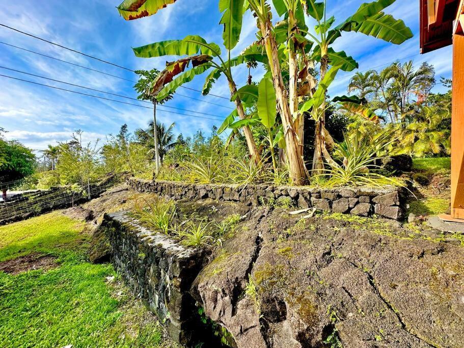Puna Zen Botanical Garden Retreat Keaau Exteriör bild