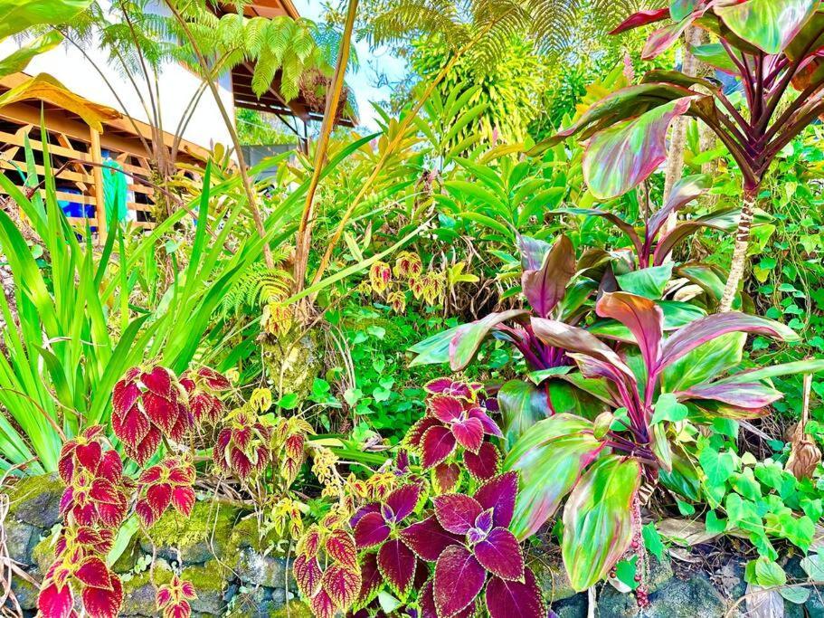 Puna Zen Botanical Garden Retreat Keaau Exteriör bild